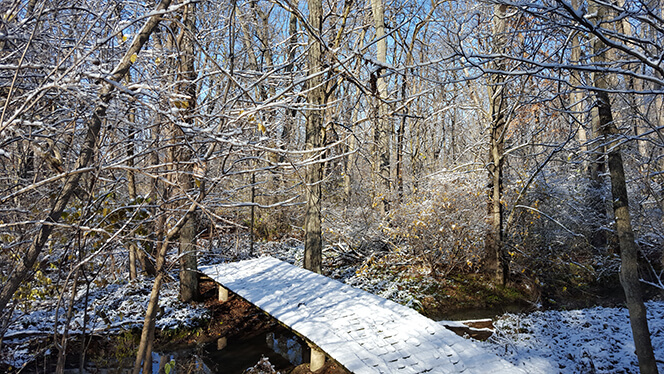 Natural walking paths throughout the community at The Santuary in Perrysburg Ohio.